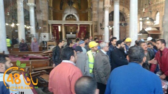 inffejara cairot (3).jpg